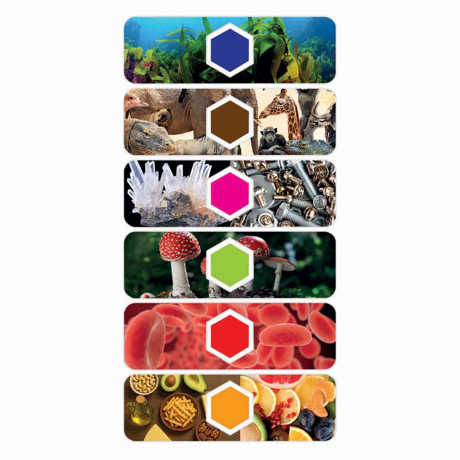 Clementoni Wetenschap & Spel Microscoop Smart