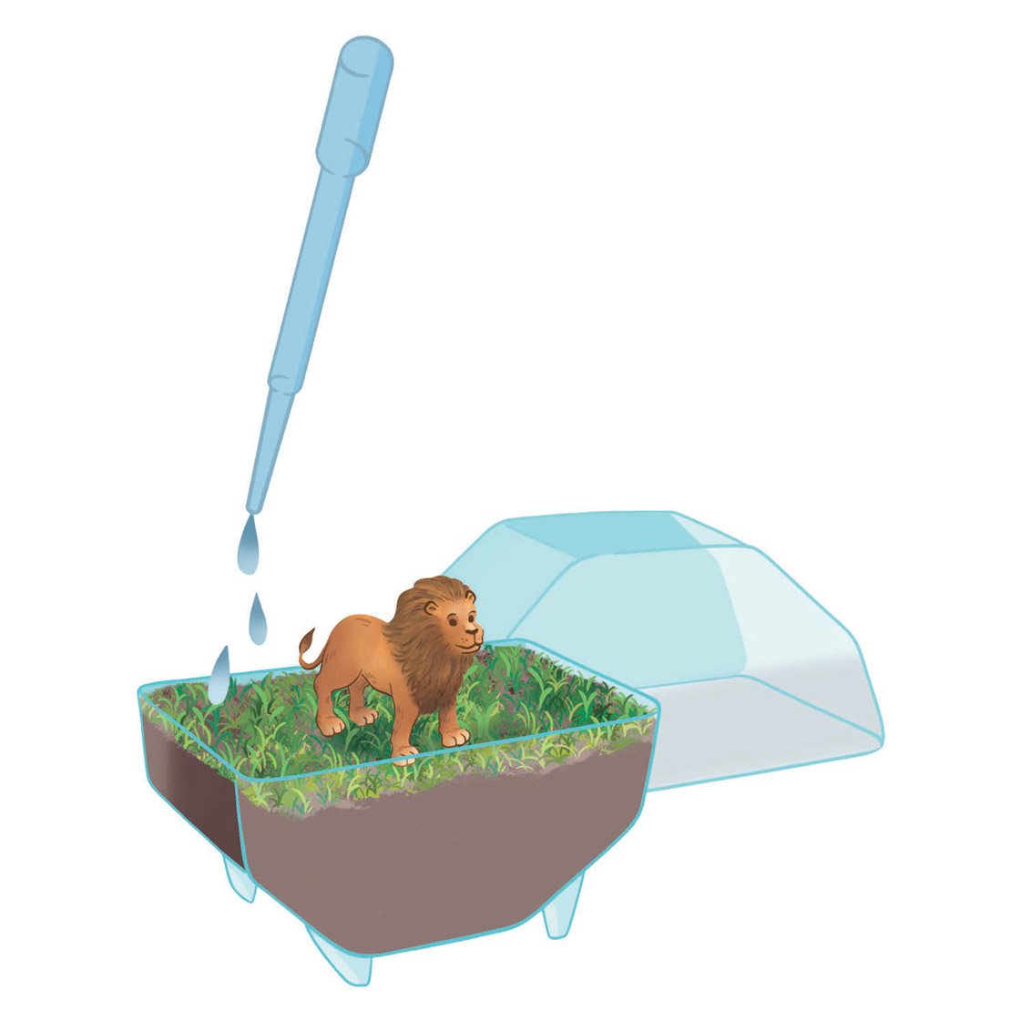 Clementoni Wetenschap & Spel My Wild Terrarium - Leeuw