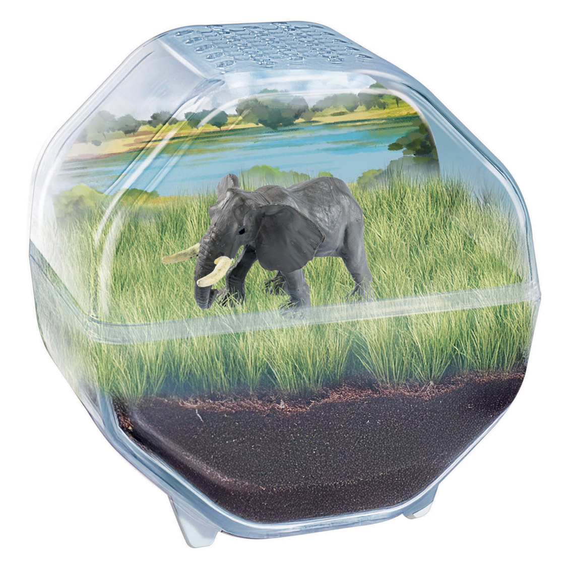 Clementoni Wetenschap & Spel My Wild Terrarium - Olifant