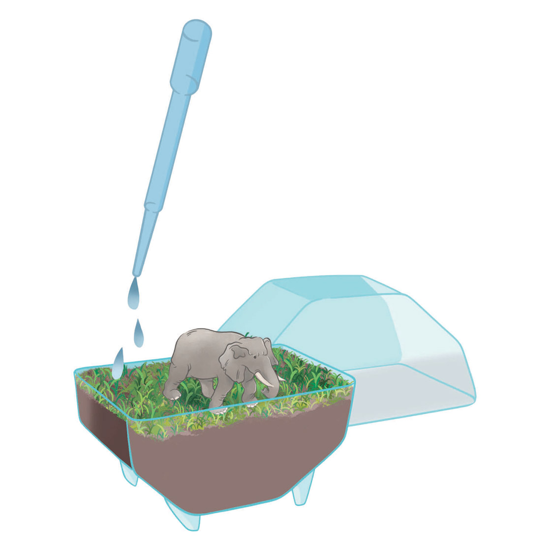 Clementoni Wetenschap & Spel My Wild Terrarium - Olifant