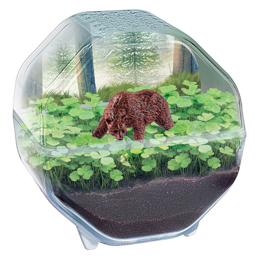Clementoni Wetenschap & Spel My Wild Terrarium - Beer