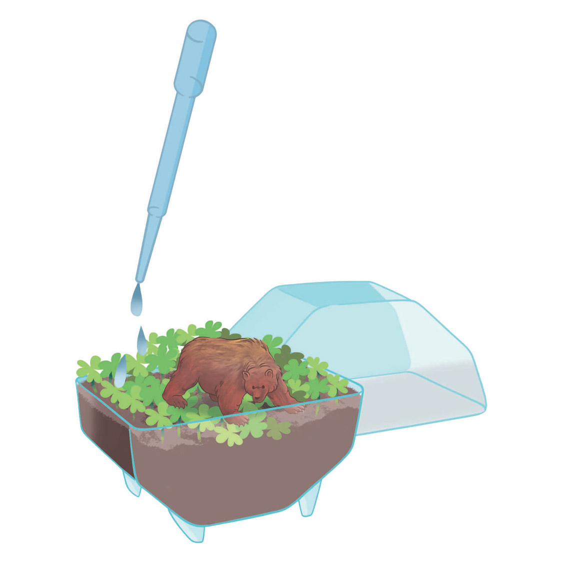 Clementoni Wetenschap & Spel My Wild Terrarium - Beer