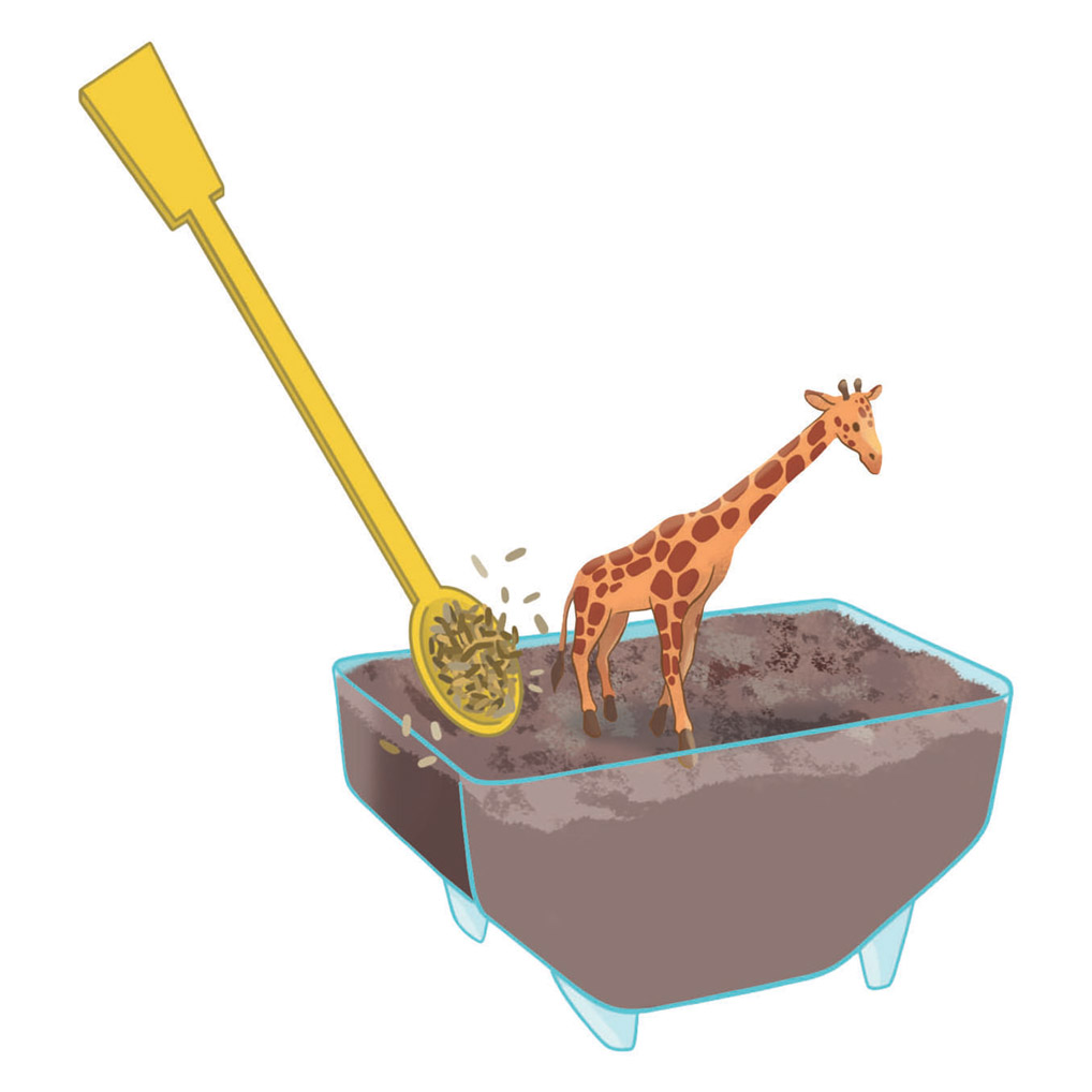 Clementoni Wetenschap & Spel My Wild Terrarium - Giraf