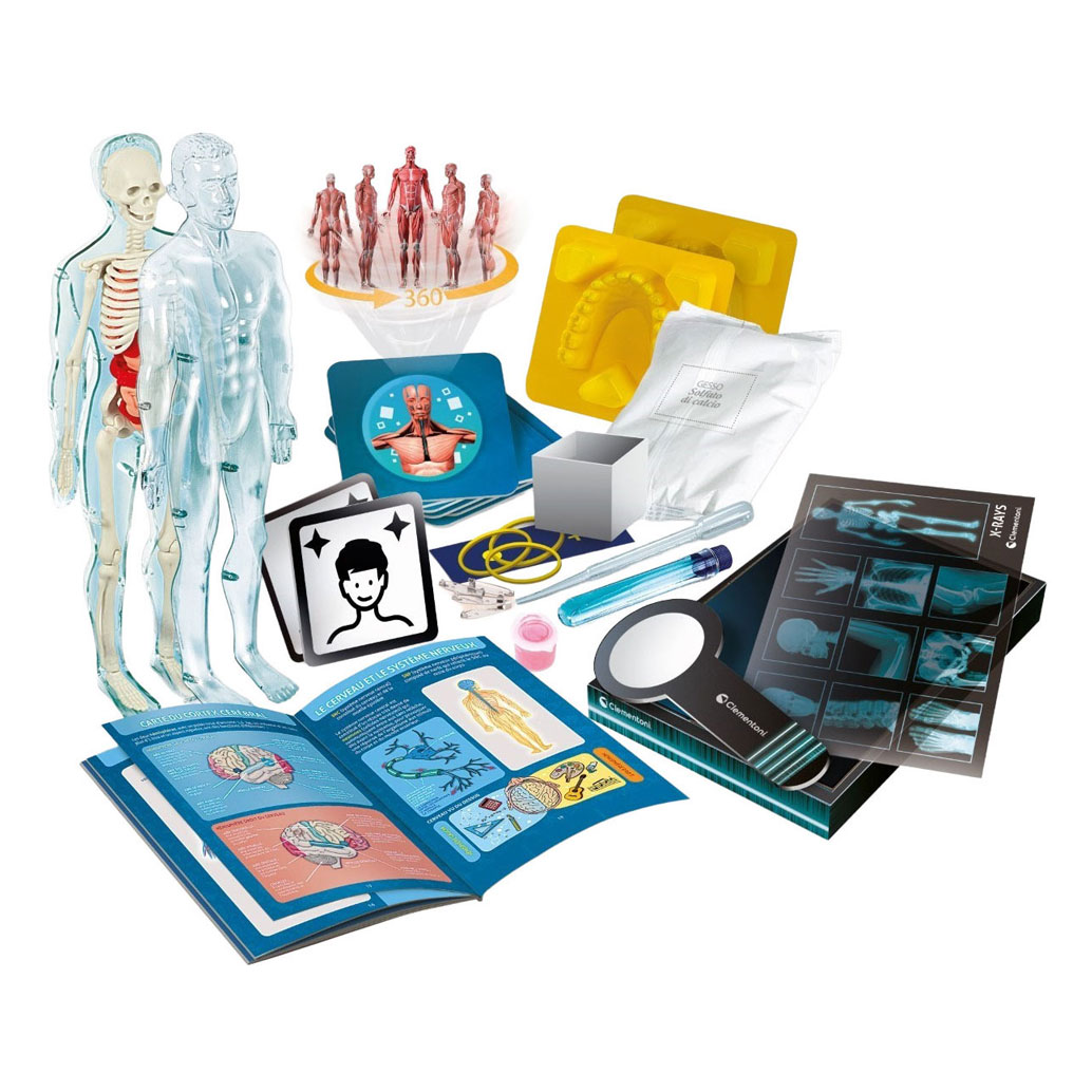 Clementoni Science et Jeu - Super Anatomie