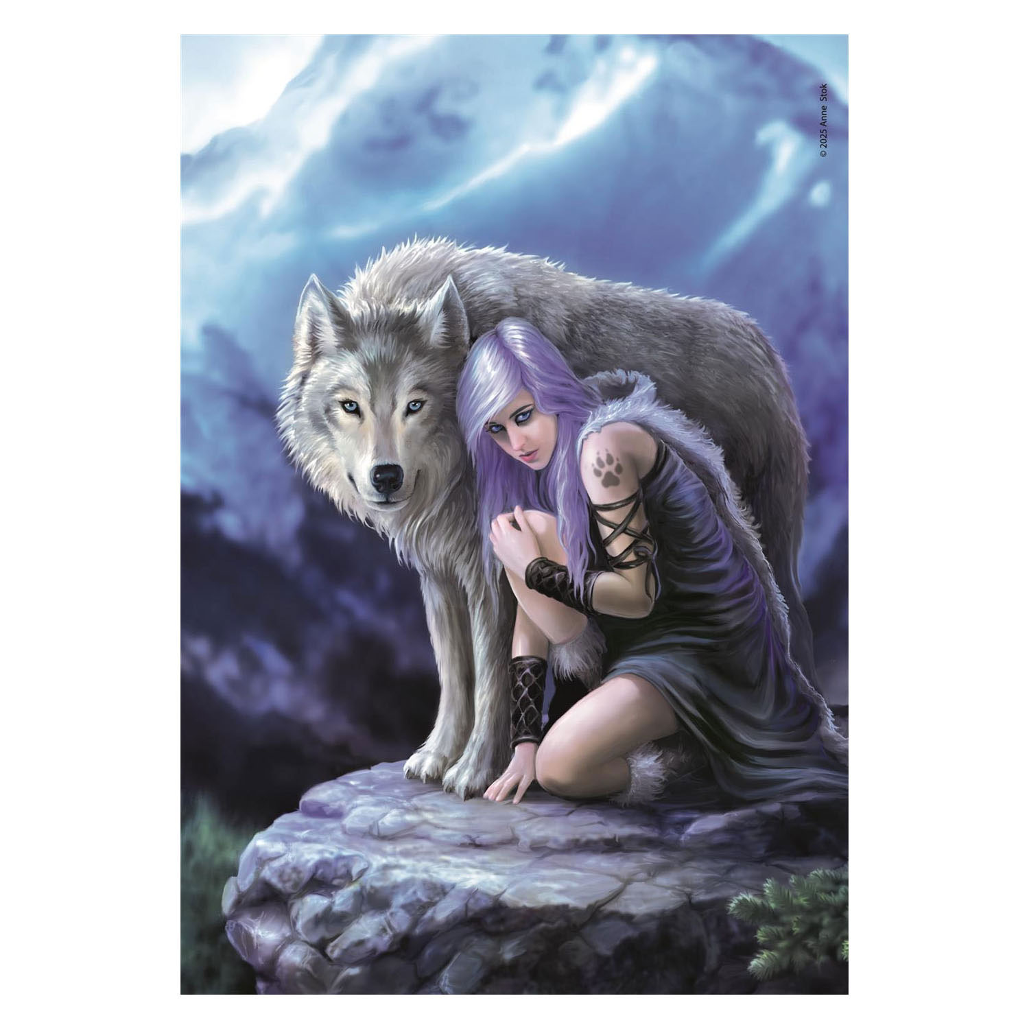 Puzzle Clementoni Anne Stokes Protector - 1000 pièces