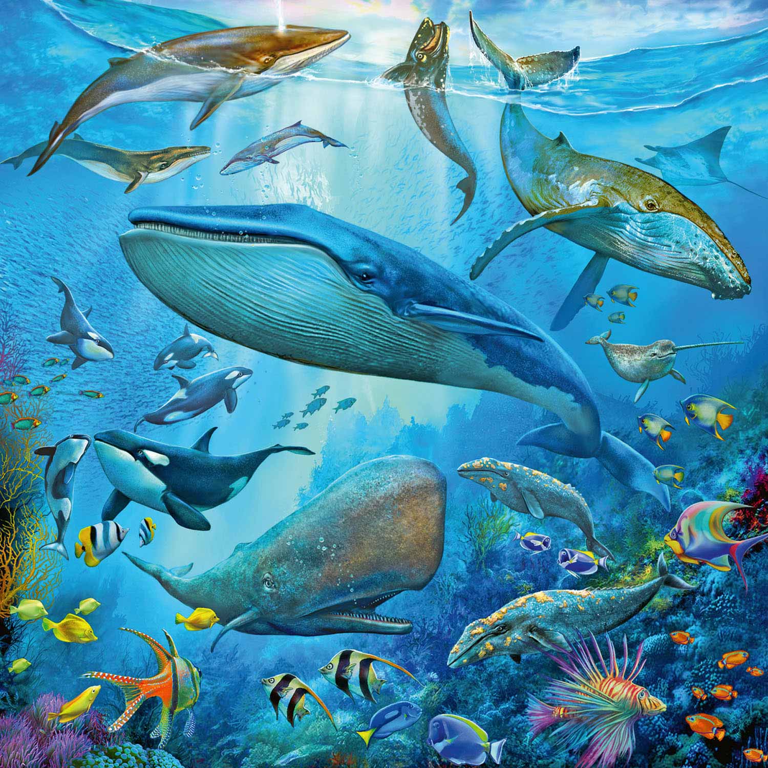 Tiere im Ozean, 3x49st.