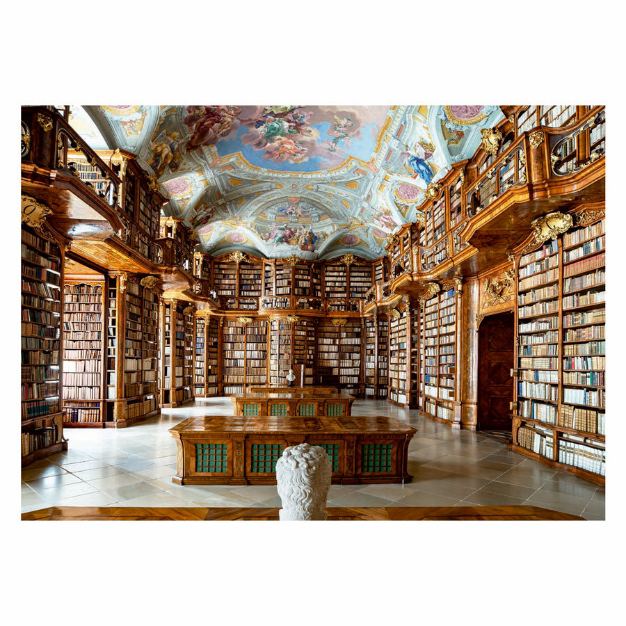 Puzzle de la Bibliothèque publique de New York - 1000 pièces