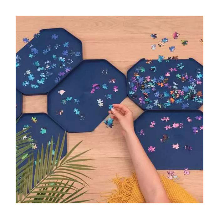 Ravensburger Puzzle Sort and Go Premium - Trieur de puzzles - 6 pièces.