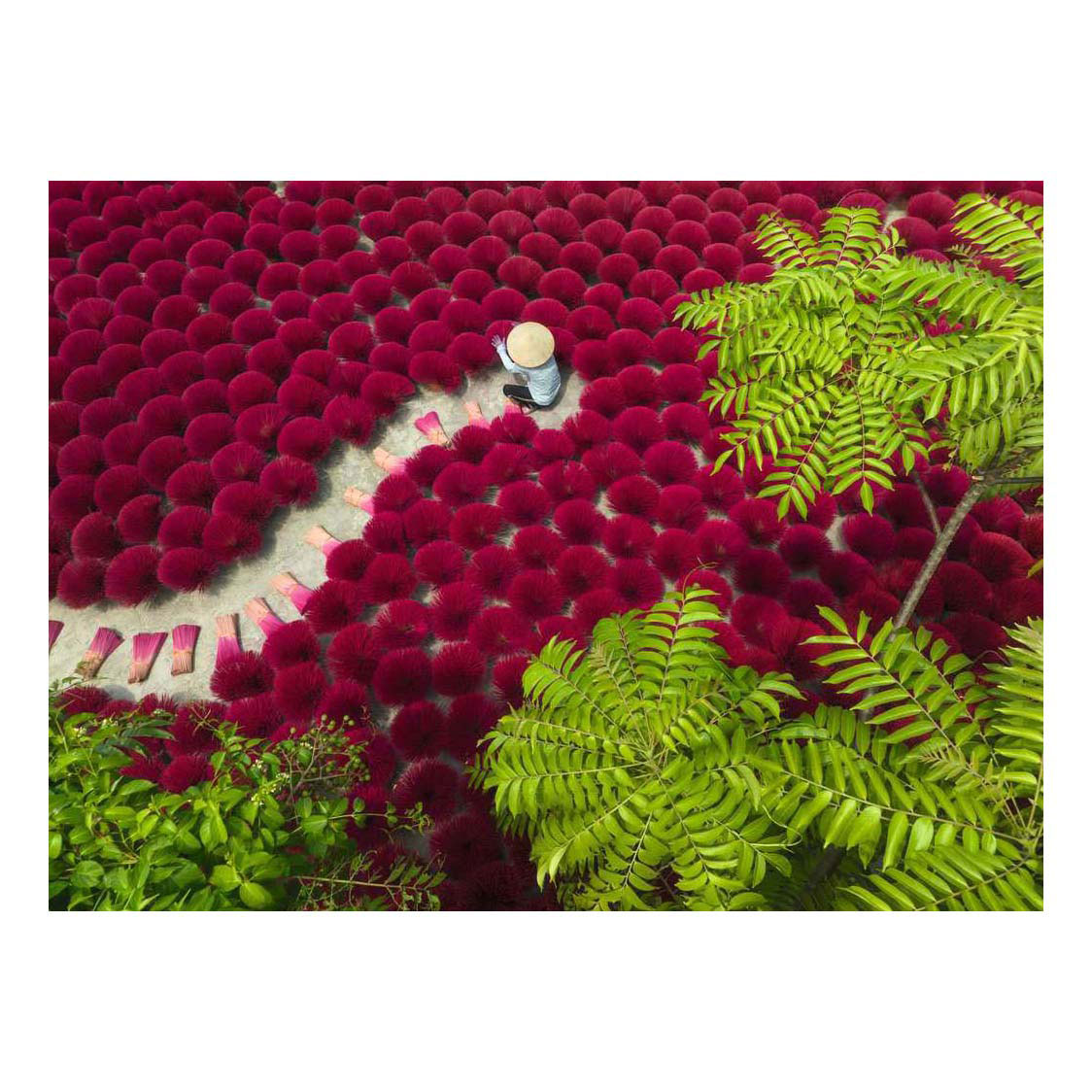 Ravensburger Legpuzzel Une mer de rouge - 500 pièces.