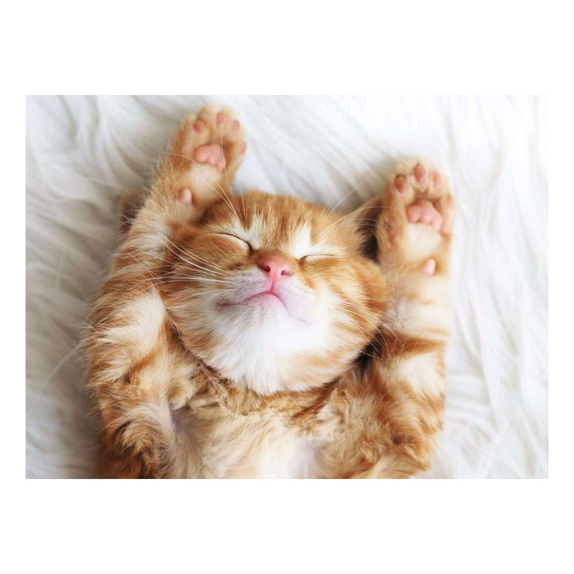 Ravensburger Legpuzzel Little dreamer - 500st.