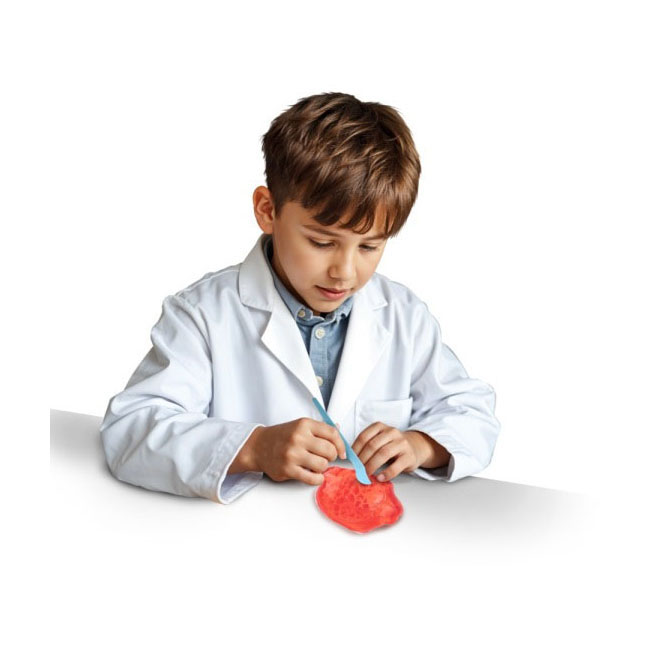 Mini Slijm Uitgraafset incl. Tool