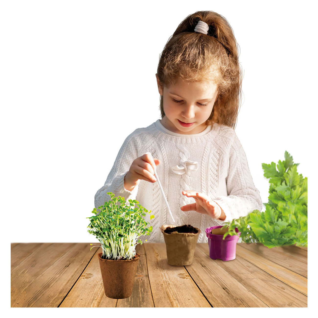 Expérience Kidscovery - Ensemble de jardin d'herbes aromatiques S