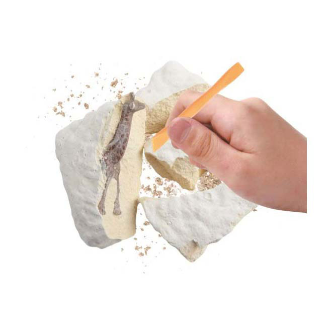 Animal World Uitgraafset Wild Dier