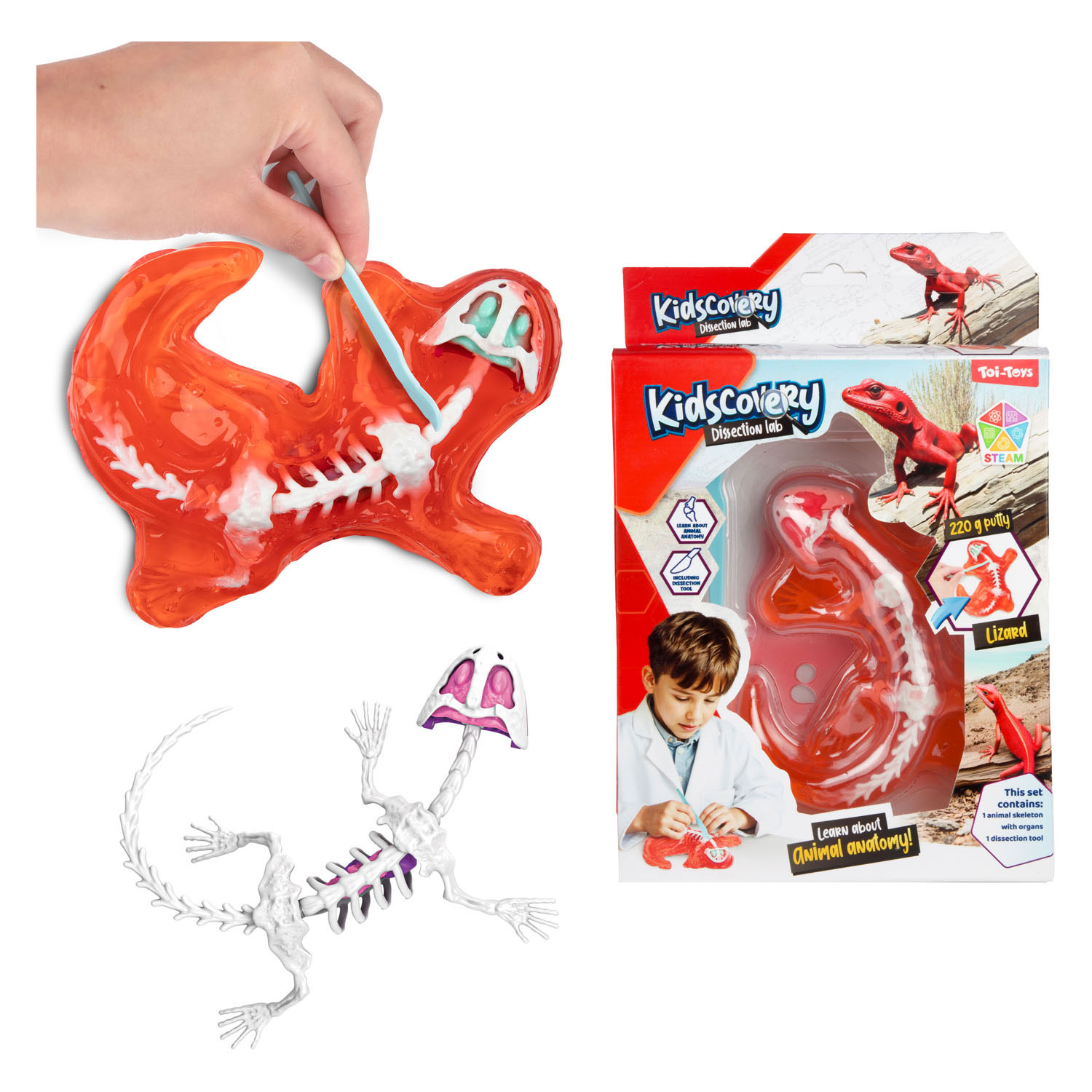 Kidscovery Slijmskelet Dier