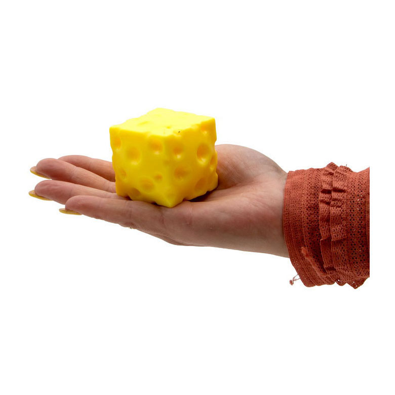Bloc de fromage à presser