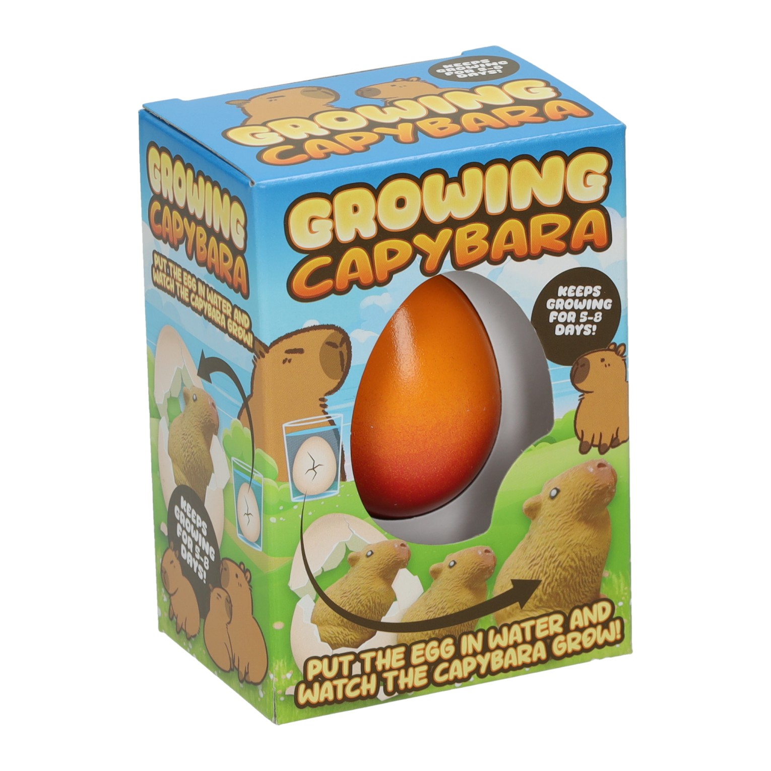 Groeiende Capibara in Ei