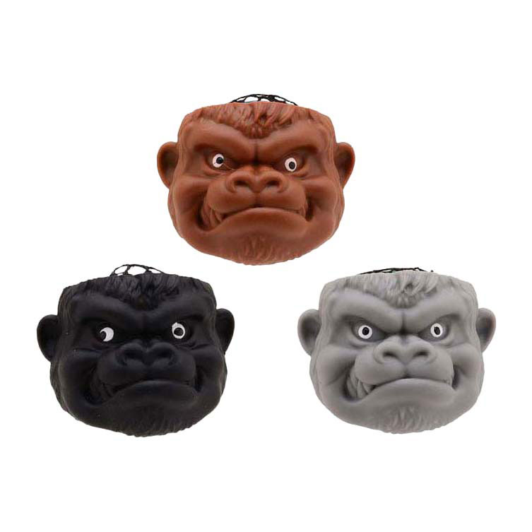 Cerveaux de chimpanzé