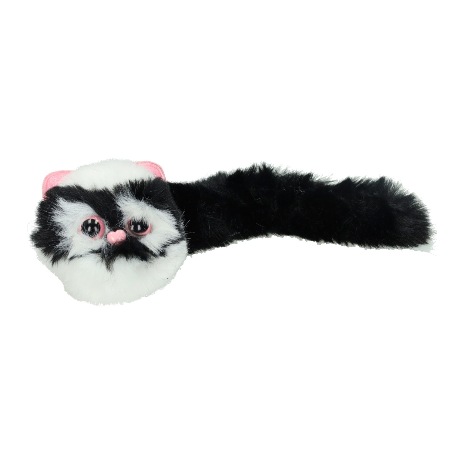 Chaton duveteux avec une longue queue