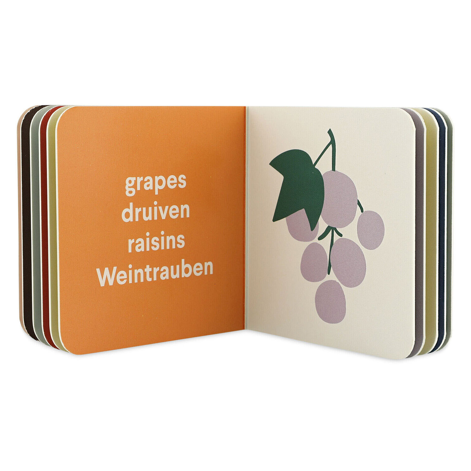 Trixie Kleine Bibliotheek - Kleding, Fruit, Voertuigen, Instrumenten