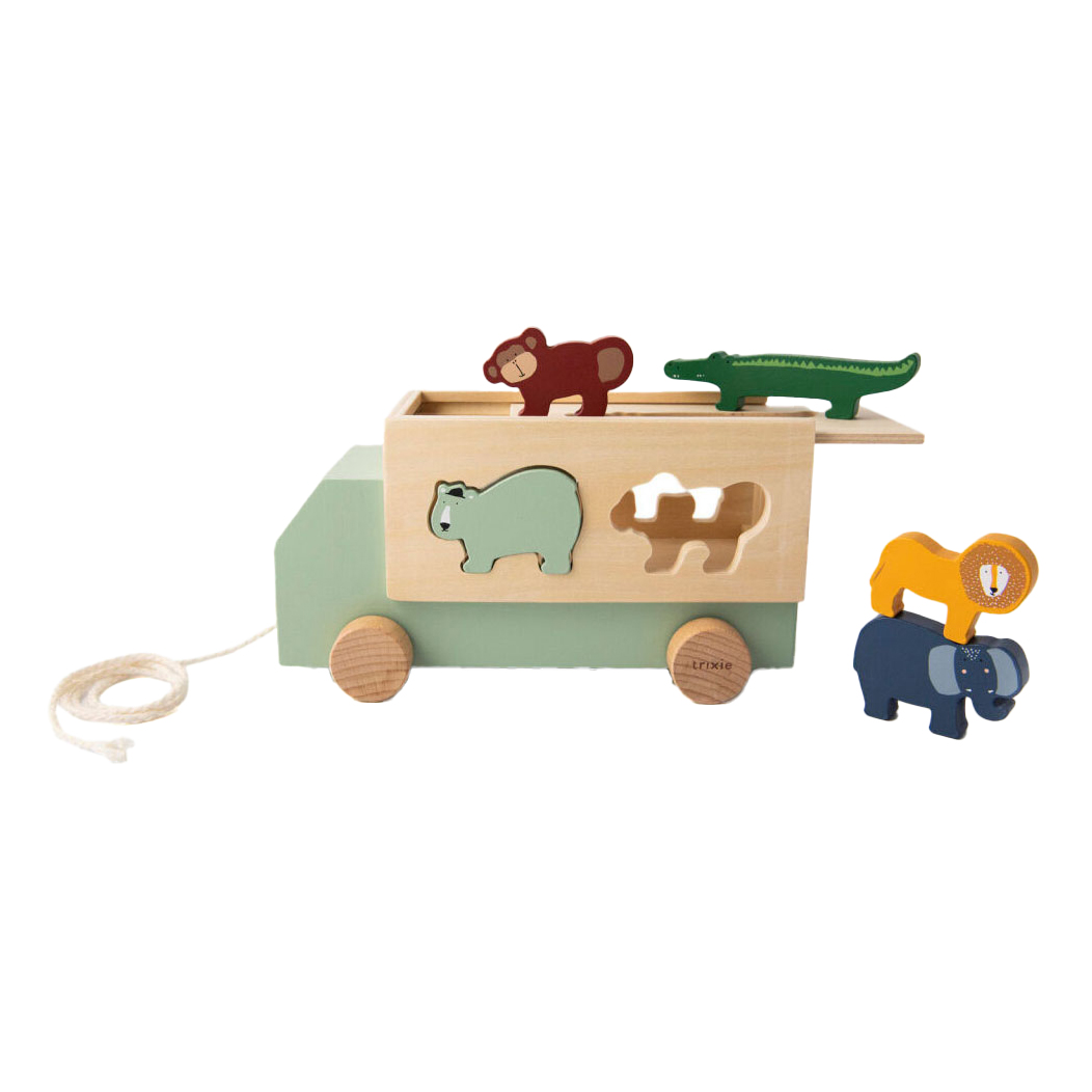 Trixie Trieuse de Formes en Bois Camion Animal, 6 pcs.