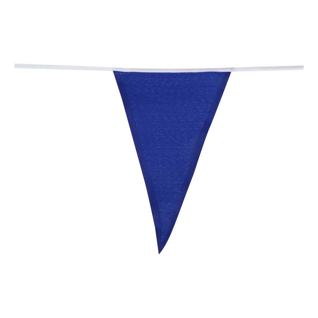 Polyester Kleurrijke Vlaggenlijn 10m
