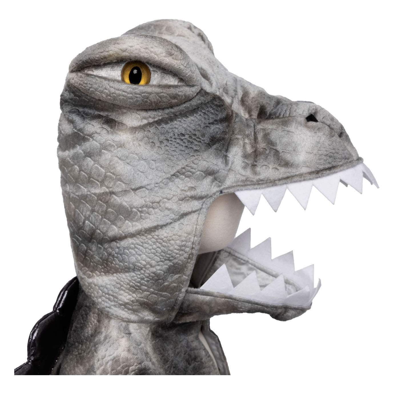 Cap Grandasaurus Spinosaurus, 4-6 ans