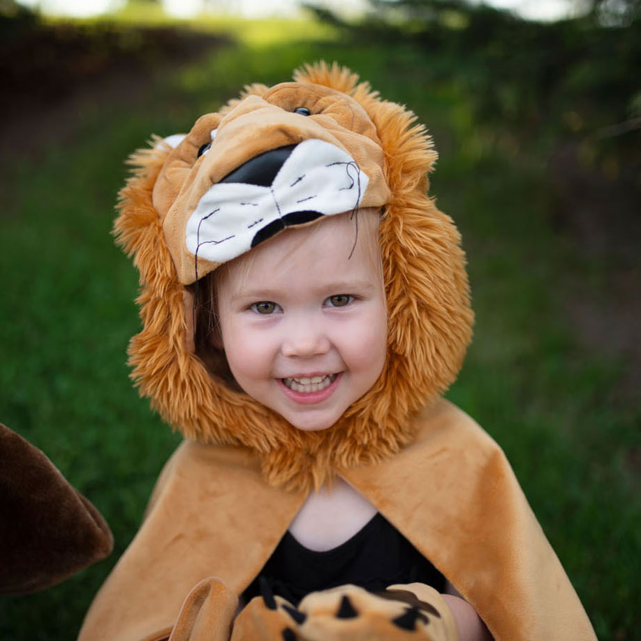Cape Storybook Lion, 4-6 ans