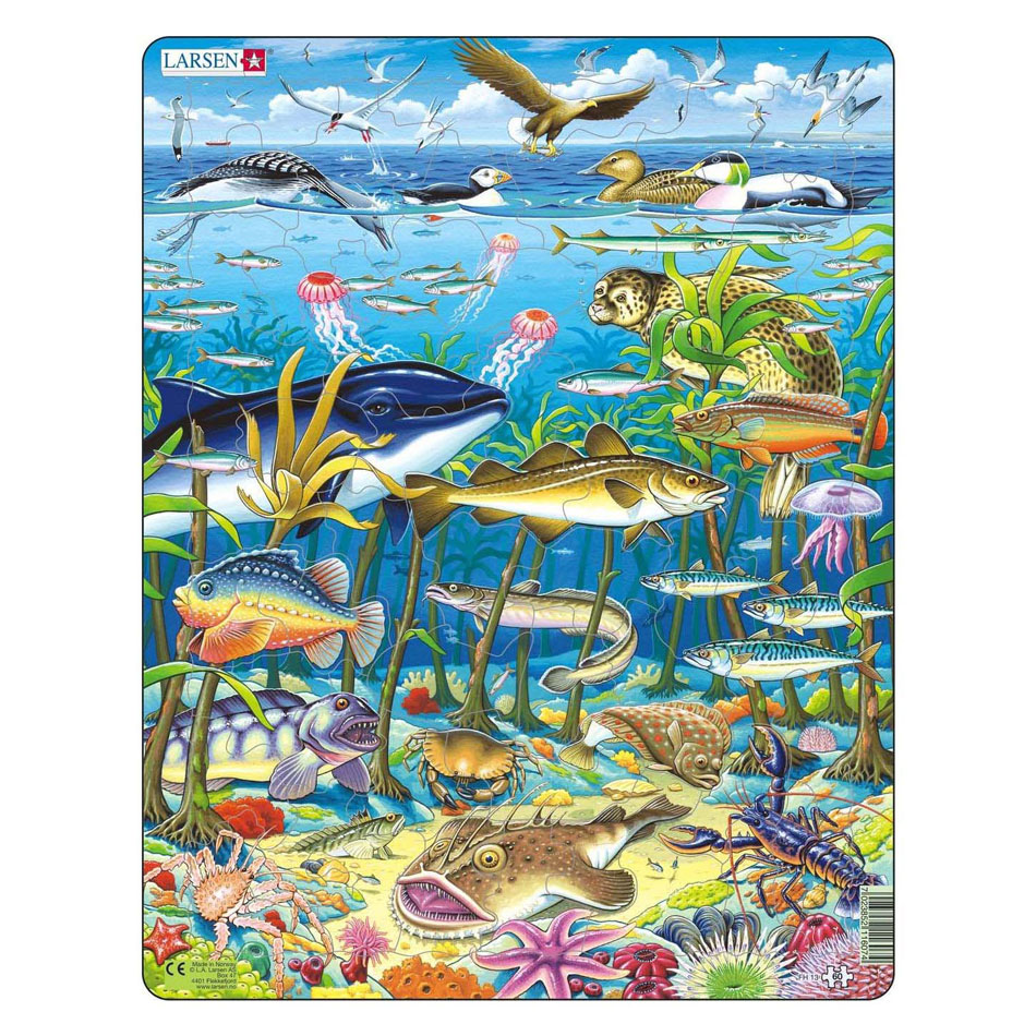 Larsen Legpuzzel Dieren - Zeedieren in de Noord-Atlantische Oceaan, 60st.