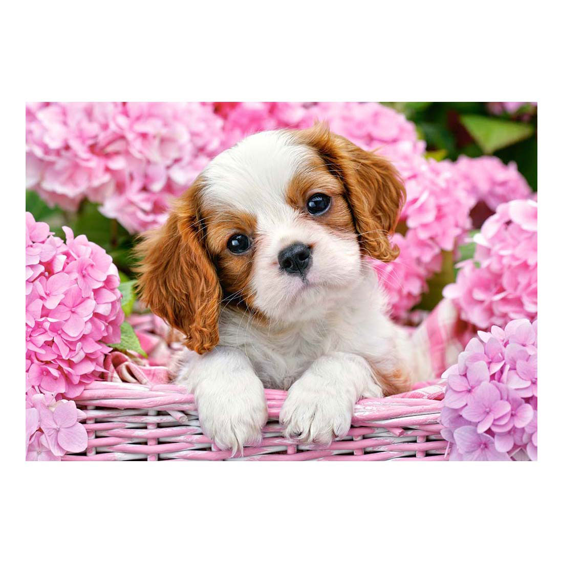 Puzzle Castorland Chiot en fleurs roses, 500 pièces.