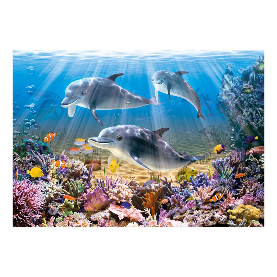 Puzzle Castorland Dauphins sous-marins, 500 pièces.