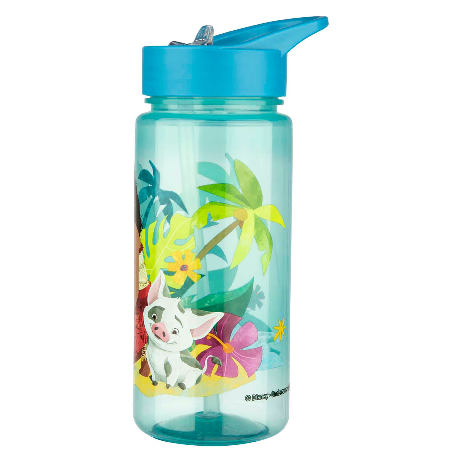 AERO Trinkflasche Vaiana - 500 ml