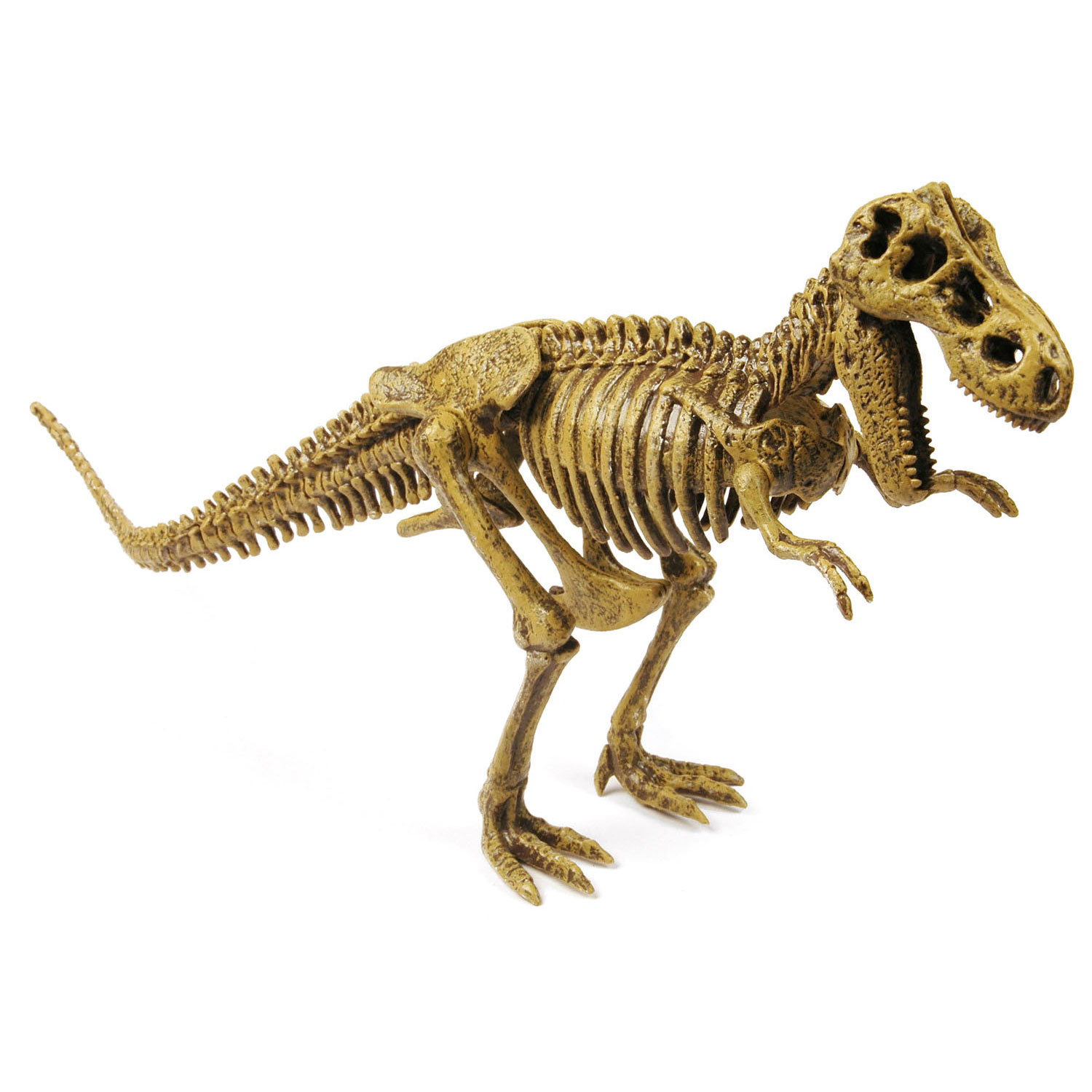 Geoworld Dino Uitgraaf Kit - Tyrannosaurus Rex
