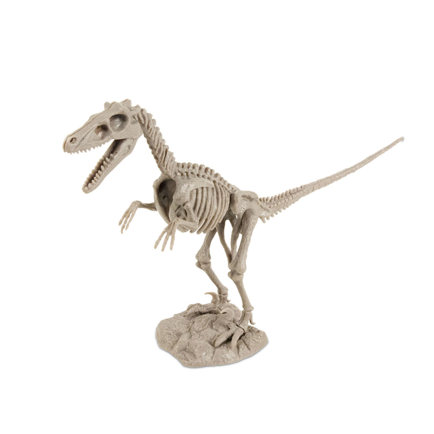 Geoworld Dino Uitgraaf Kit - Velociraptor Skelet