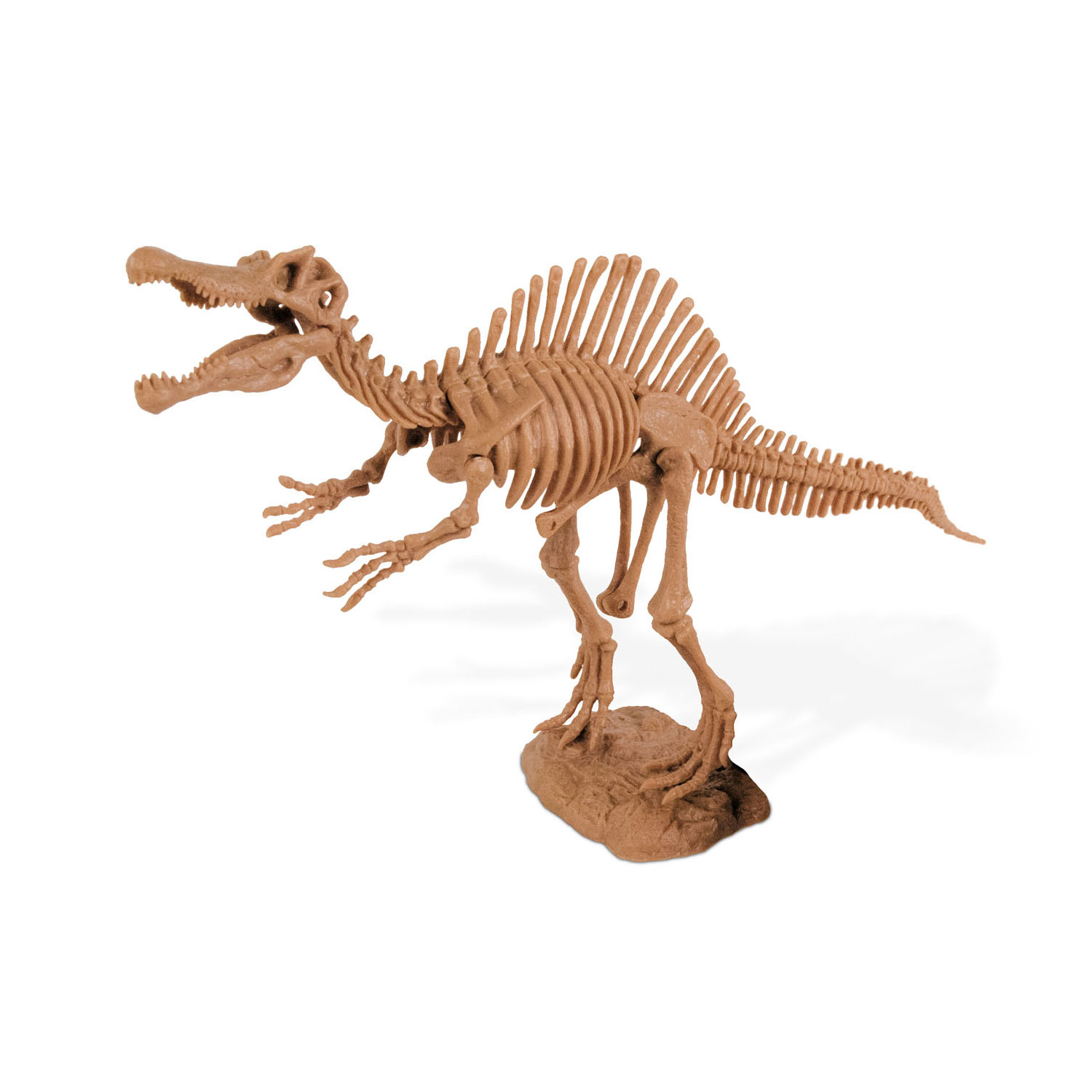 Geoworld Dino Uitgraaf Kit - Spinosaurus Skelet