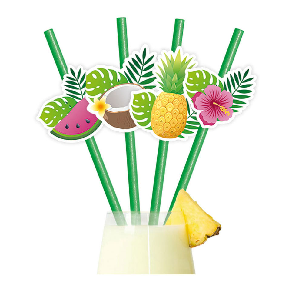 Papieren Rietjes Fruit Aloha - 6st.