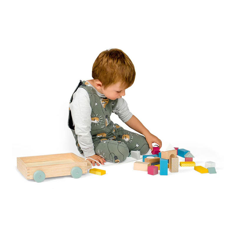 Bigjigs Houten Blokkenwagen - 29dlg.