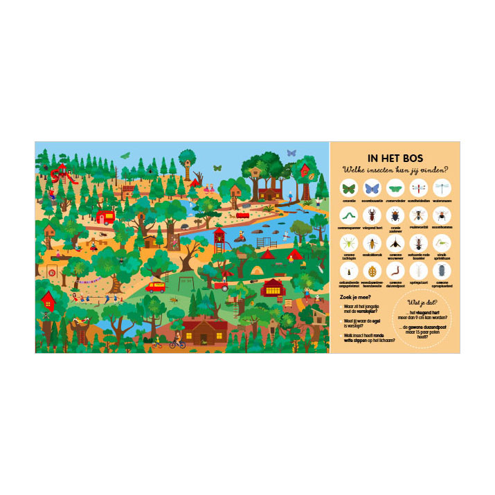 Het grote insectenzoekboek