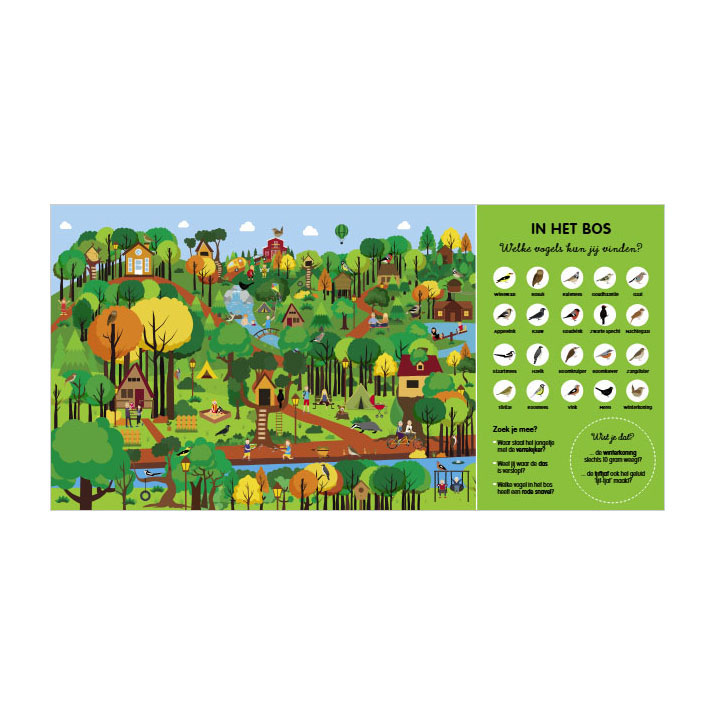 Het grote vogelzoekboek