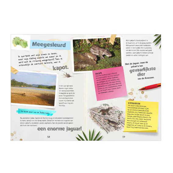 Journal d'un explorateur - Expédition en Amazonie