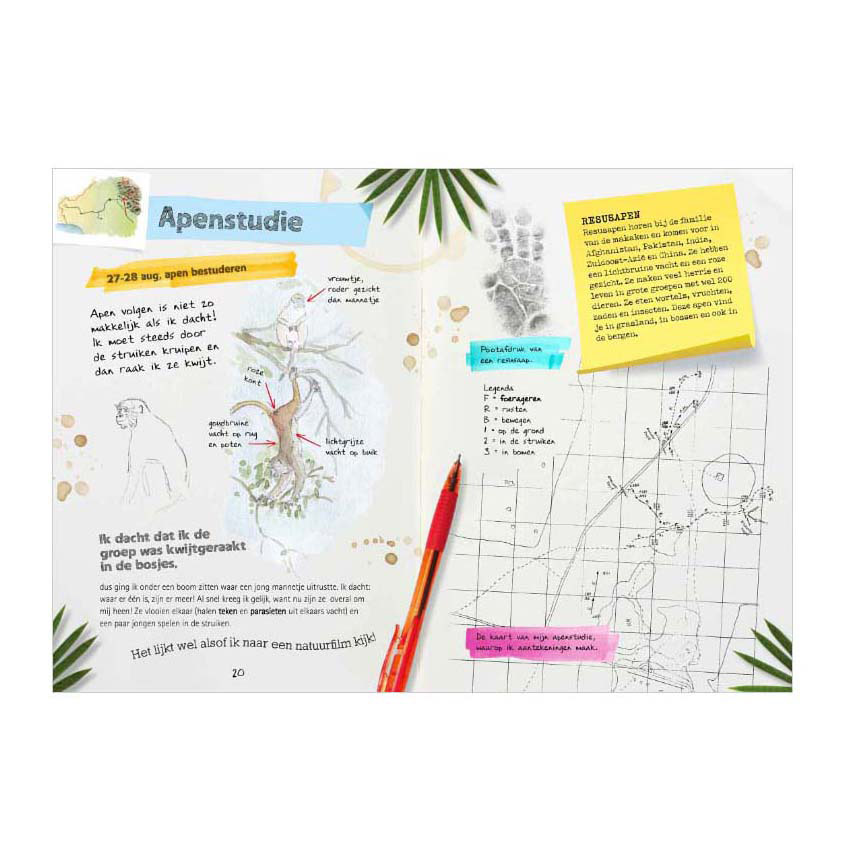 Journal d'un explorateur - Expédition Inde
