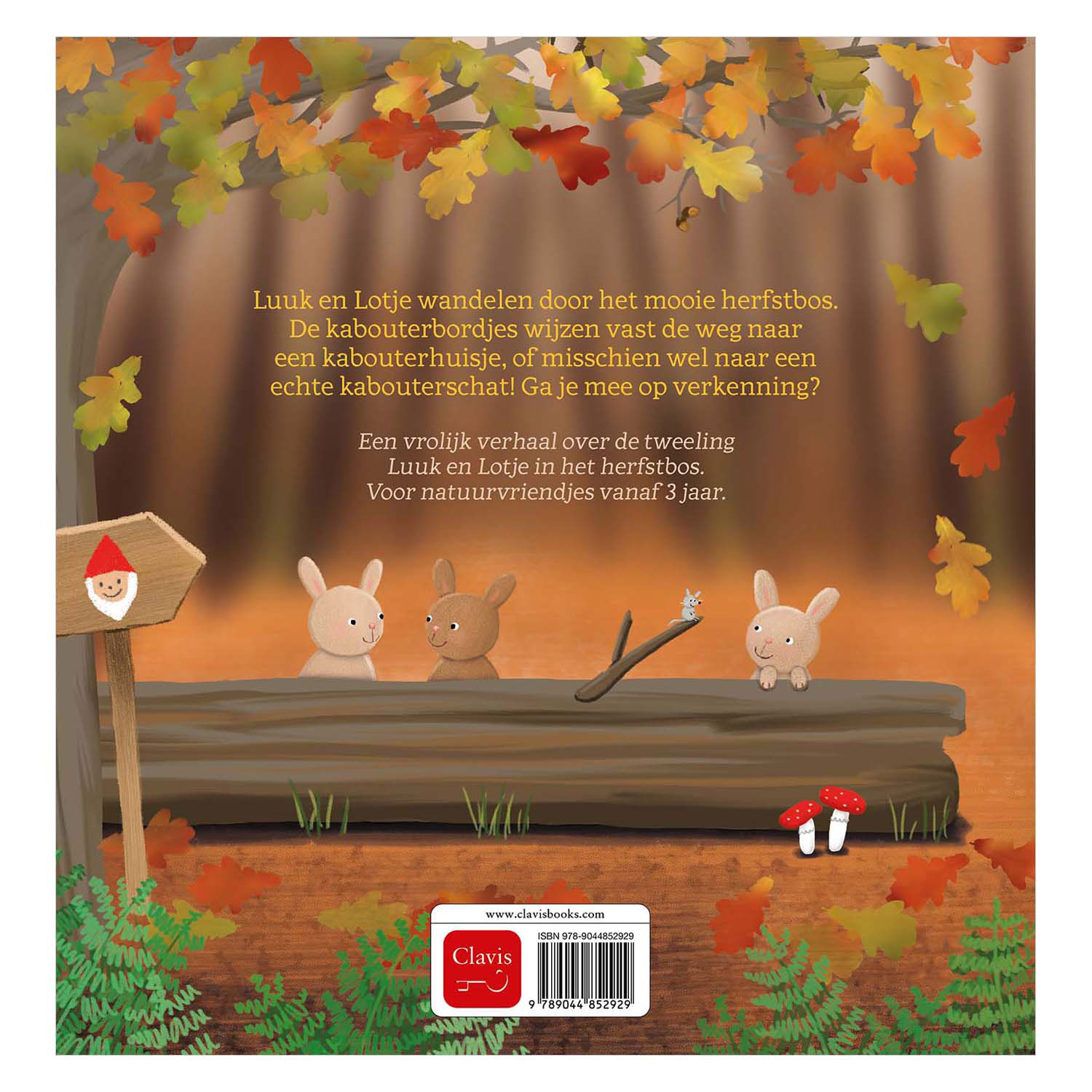 La forêt d'automne !