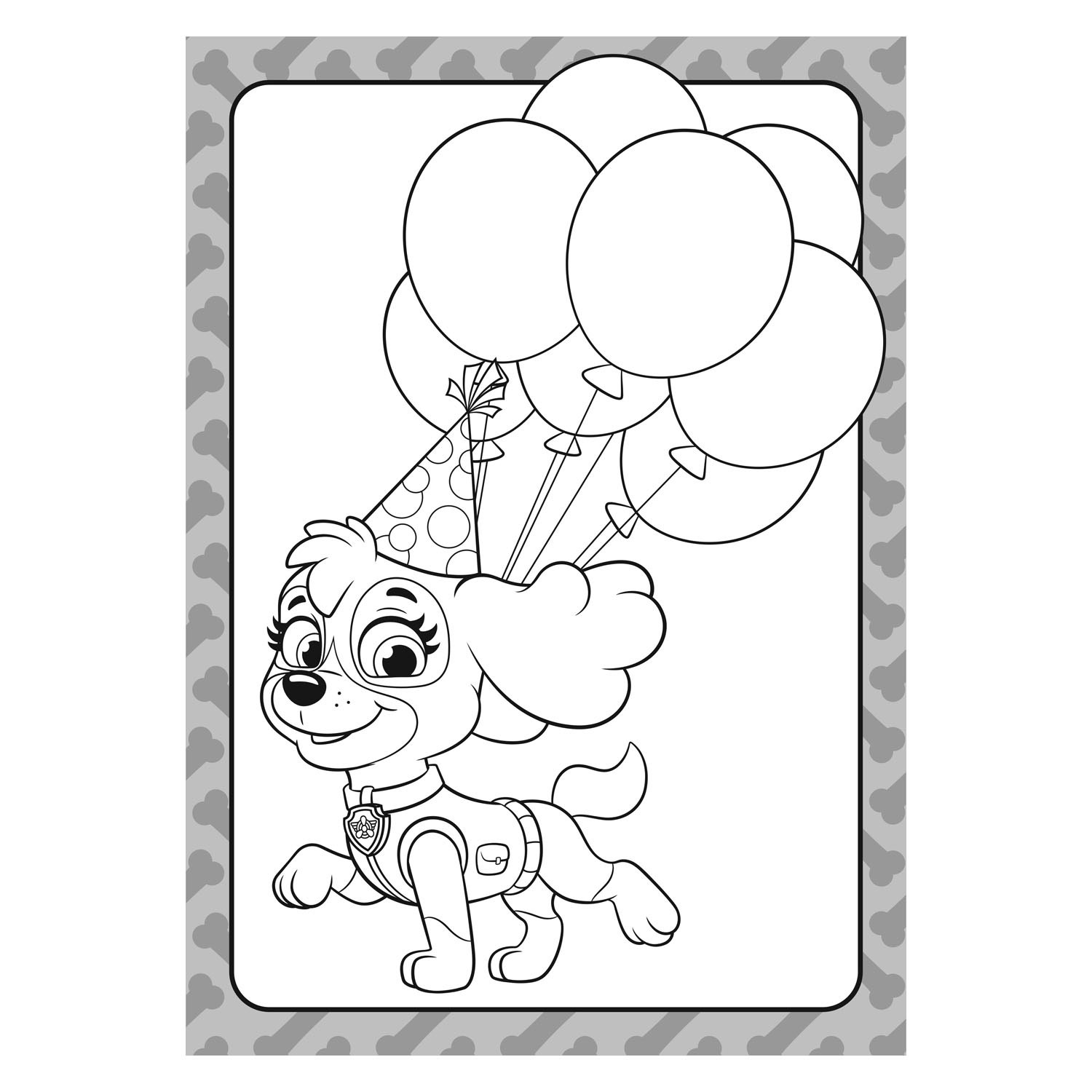 PAW Patrol - PAW Patrol kleurblok