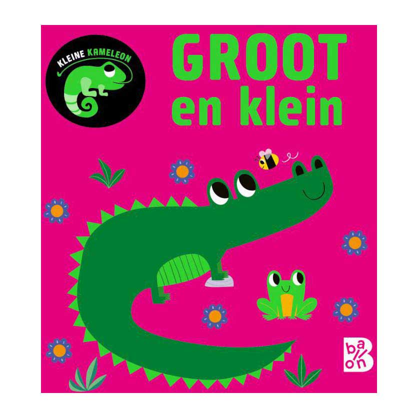Kleine Kameleon - Groot en Klein 12m+