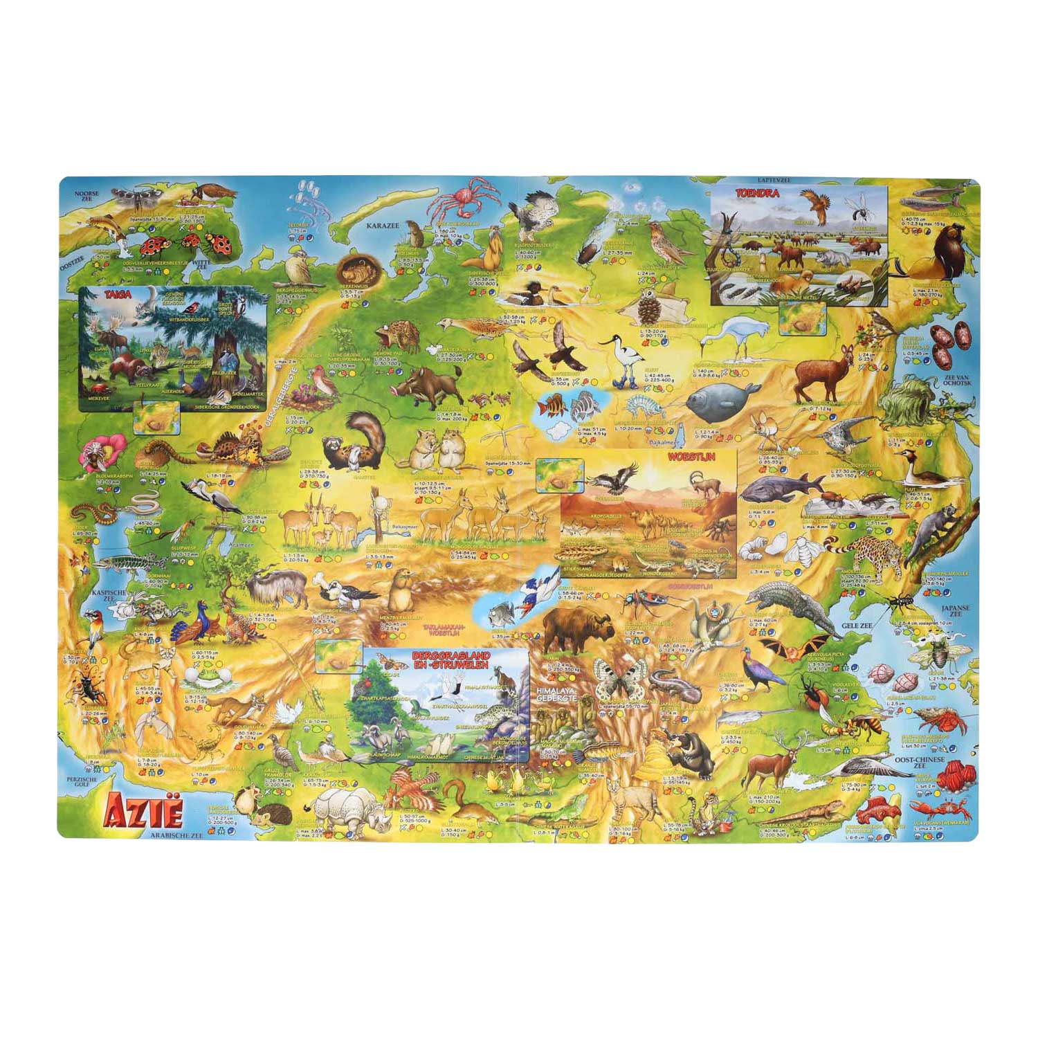 Méga Atlas des animaux pour enfants