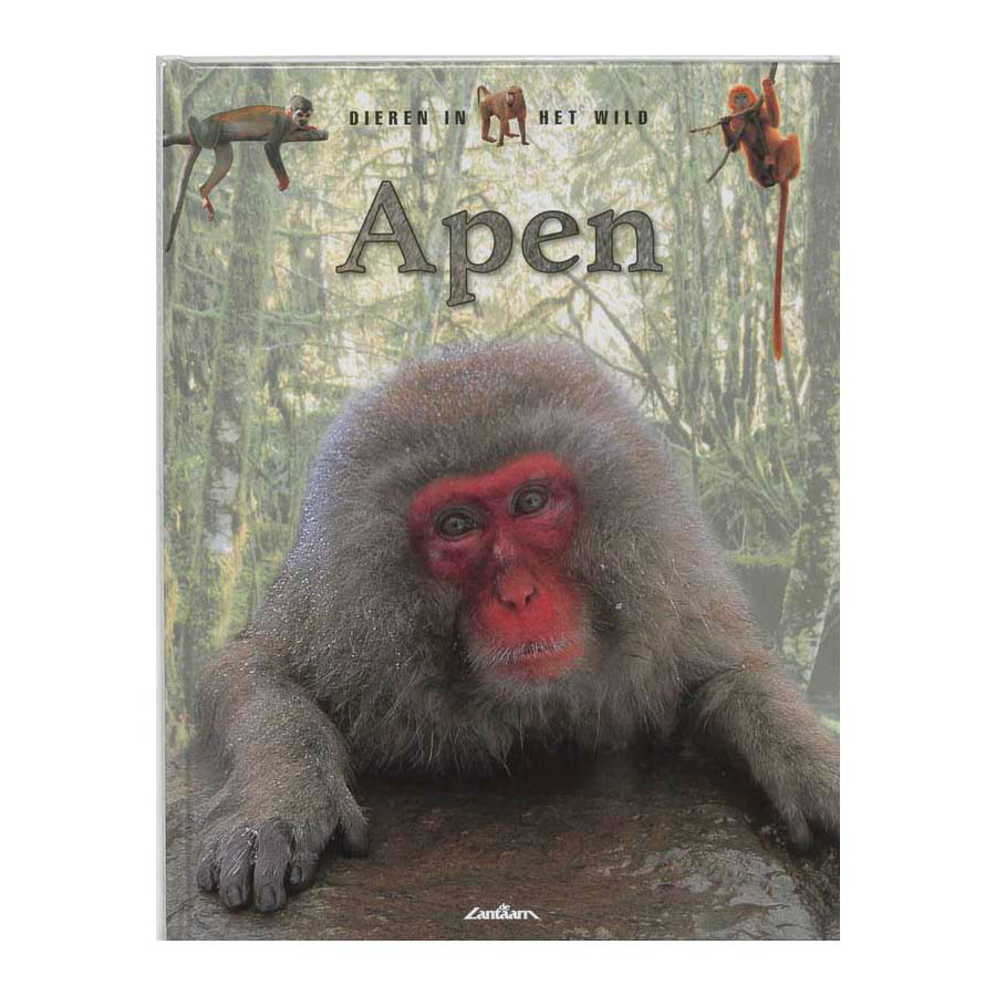 Dieren in het Wild - Apen