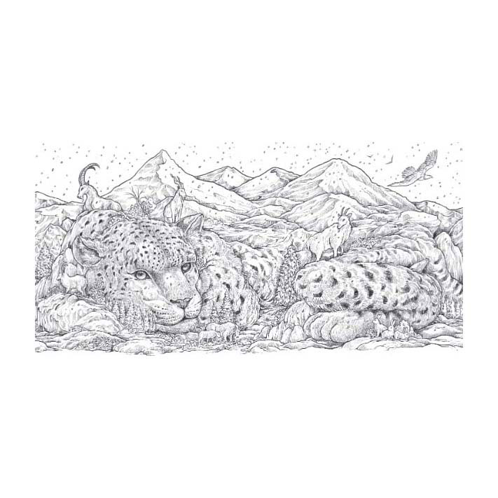 Animal World Kleurboek Animal World Kleurboek