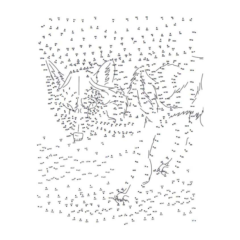 Point à point extrême - Animaux de la forêt