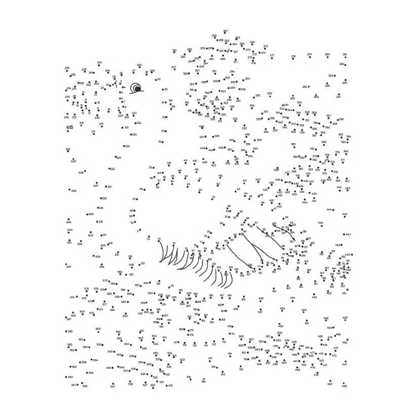 Point à point extrême - Animaux