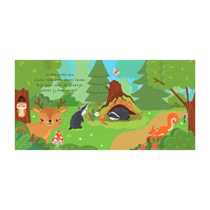 Kun Je Mij Vinden? In het Bos Voorleesboek en 20 Memokaarten Kun Je Mij Vinden? In het Bos Voorleesboek en 20 Memokaarten