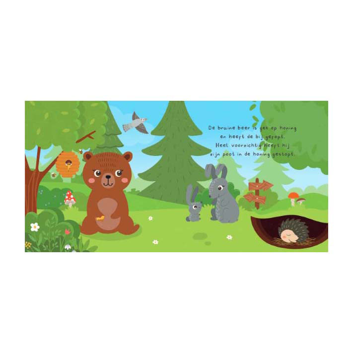 Kun Je Mij Vinden? In het Bos Voorleesboek en 20 Memokaarten Kun Je Mij Vinden? In het Bos Voorleesboek en 20 Memokaarten